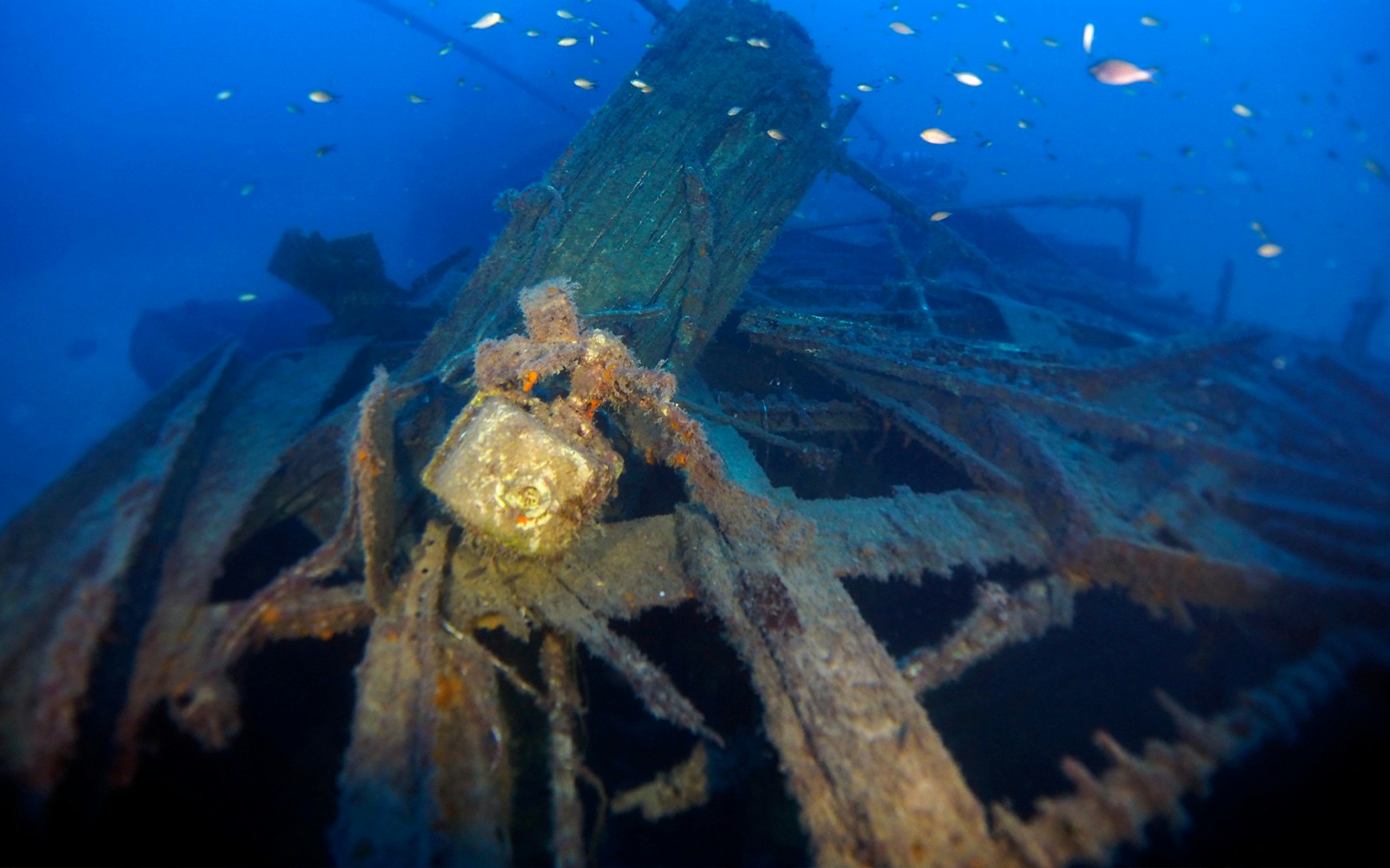 Malta Aquarium Tickets