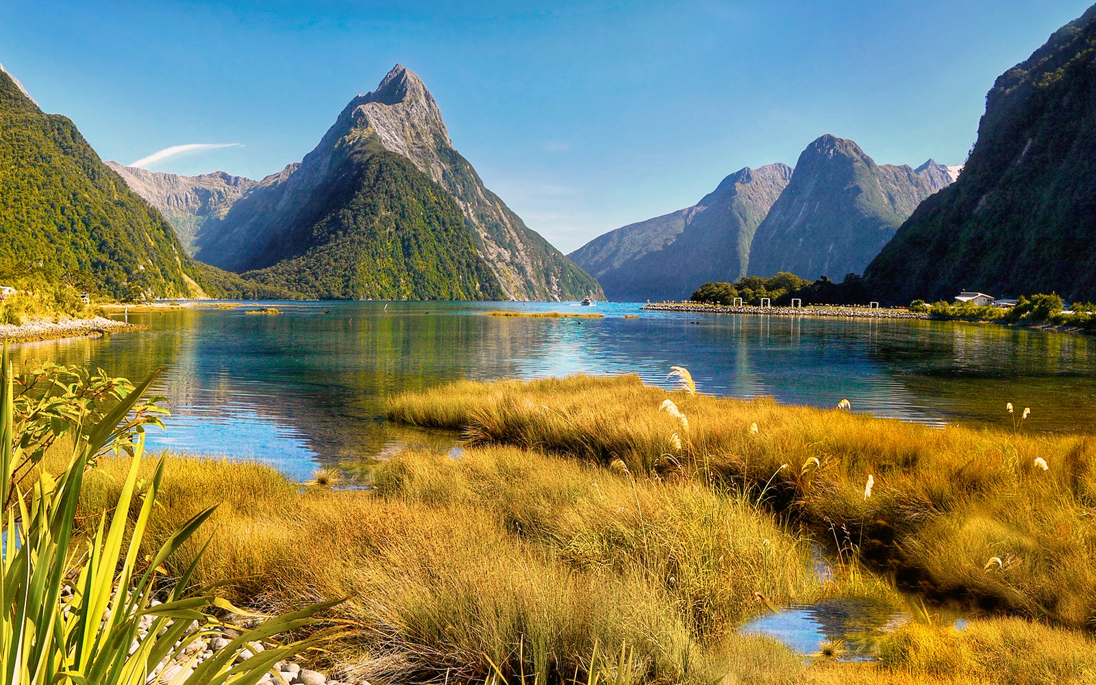 Milford Sound fjord with lush mountains in Fiordland National Park, New Zealand.