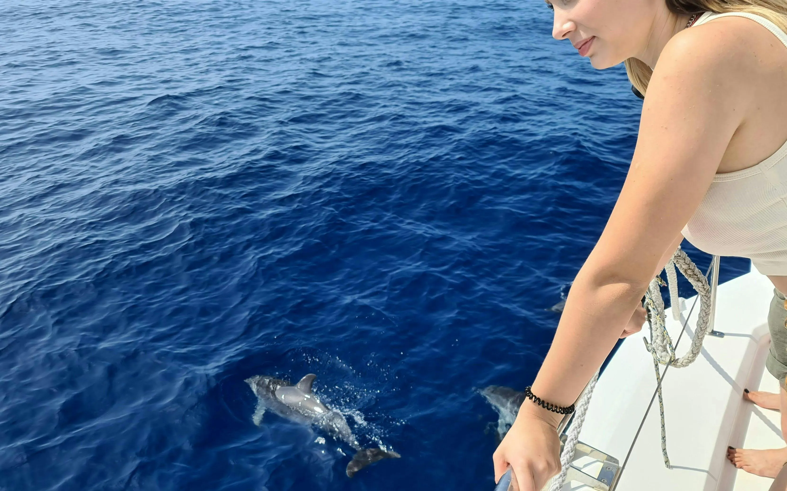 Person watching dolphins from a boat on a whale watching cruise.