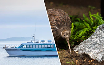 Stewart Island Ferry on water with kiwi bird in natural habitat.