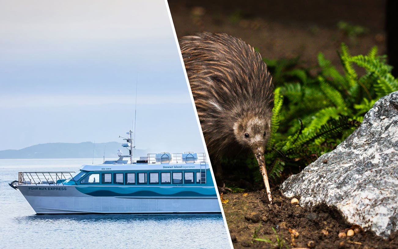 Stewart Island Ferry on water with kiwi bird in natural habitat.