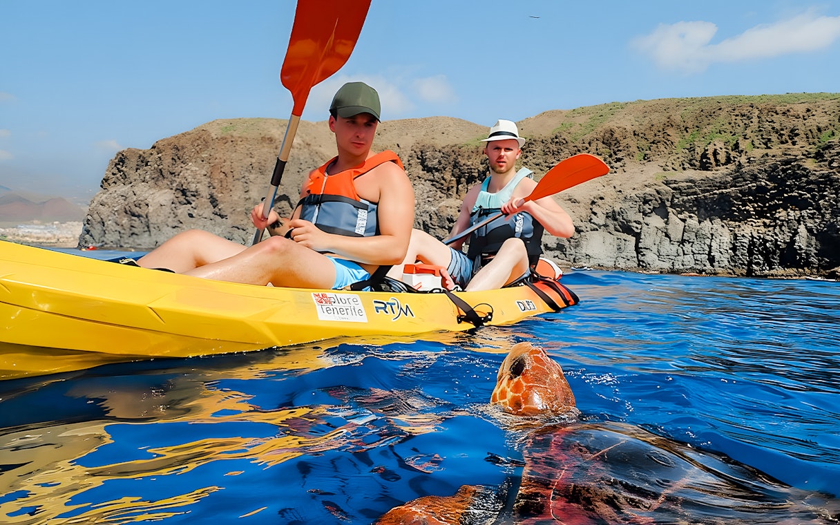 Tourists kayaking near a turtle in Tenerife island waters.