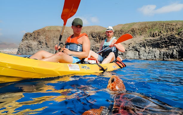 Tourists kayaking near a turtle in Tenerife island waters.