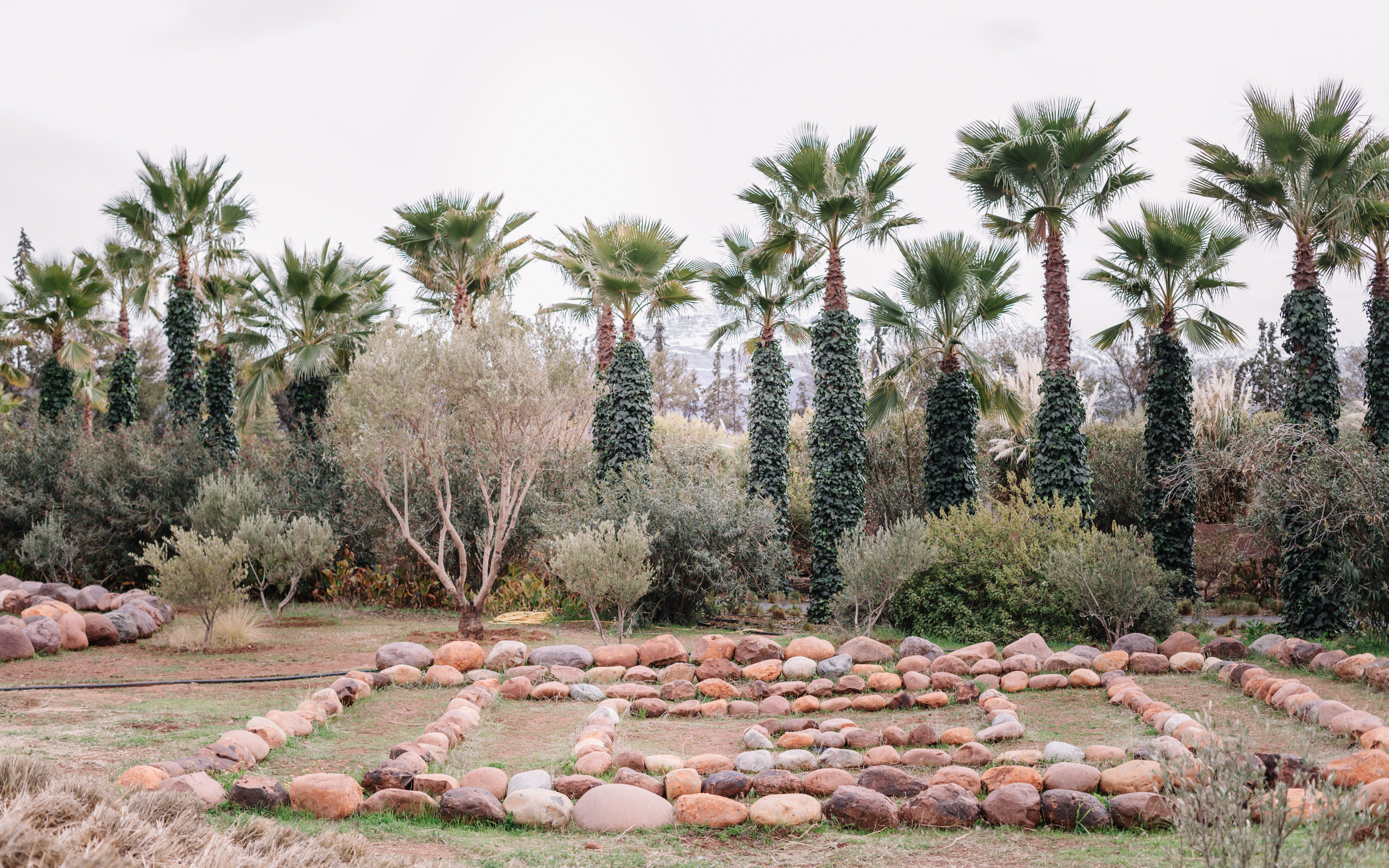 Palm trees and stone pathways in ANIMA Garden, Marrakech.