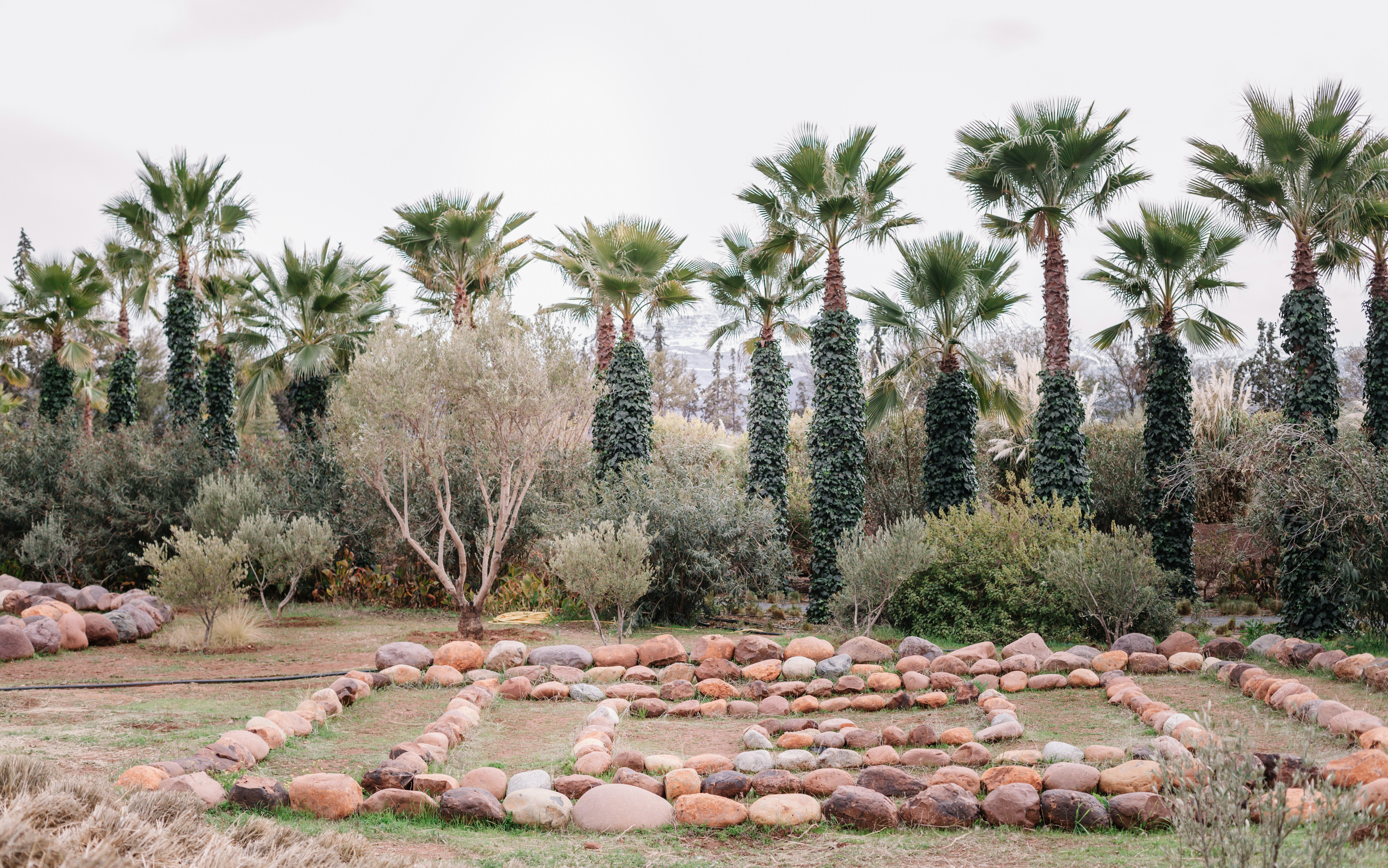 Palm trees and stone pathways in ANIMA Garden, Marrakech.