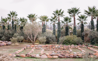 Palm trees and stone pathways in ANIMA Garden, Marrakech.