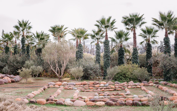Palm trees and stone pathways in ANIMA Garden, Marrakech.