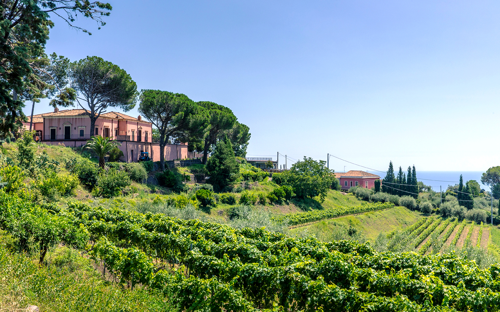 Planeta Sciaranuova Mount Etna
