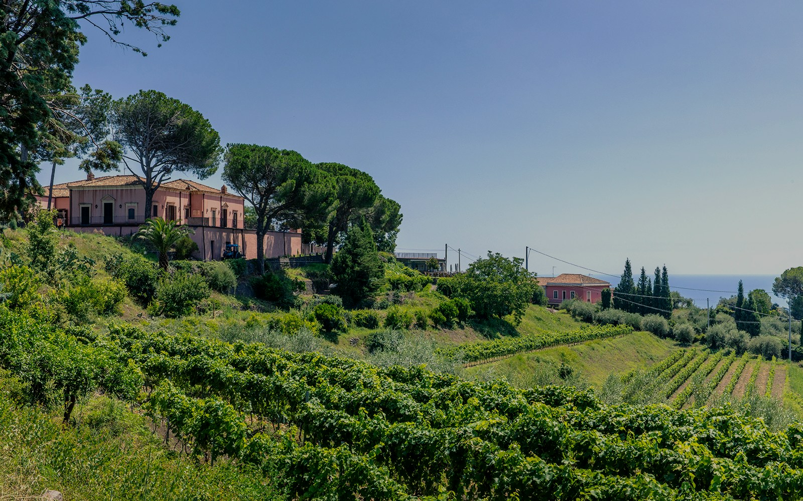 Planeta Sciaranuova Mount Etna