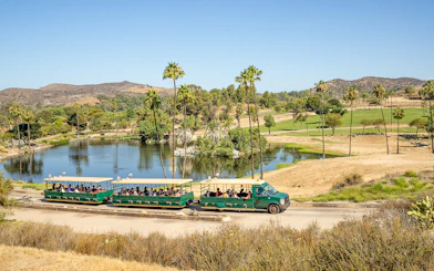 Safari tram tour at San Diego Zoo Safari Park passing by a scenic pond and palm trees.