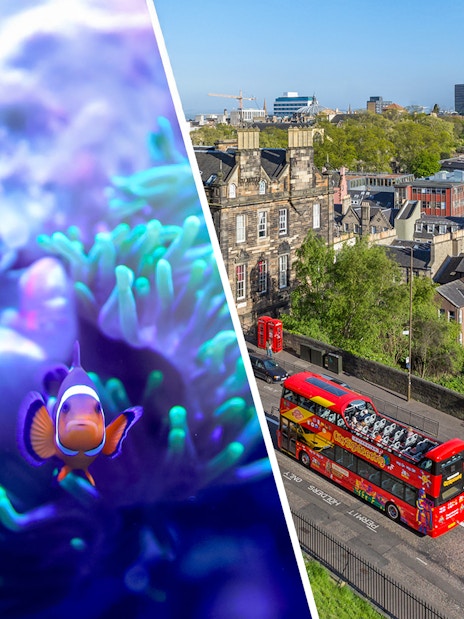 Clownfish swimming near coral and a red double-decker bus touring Edinburgh cityscape.