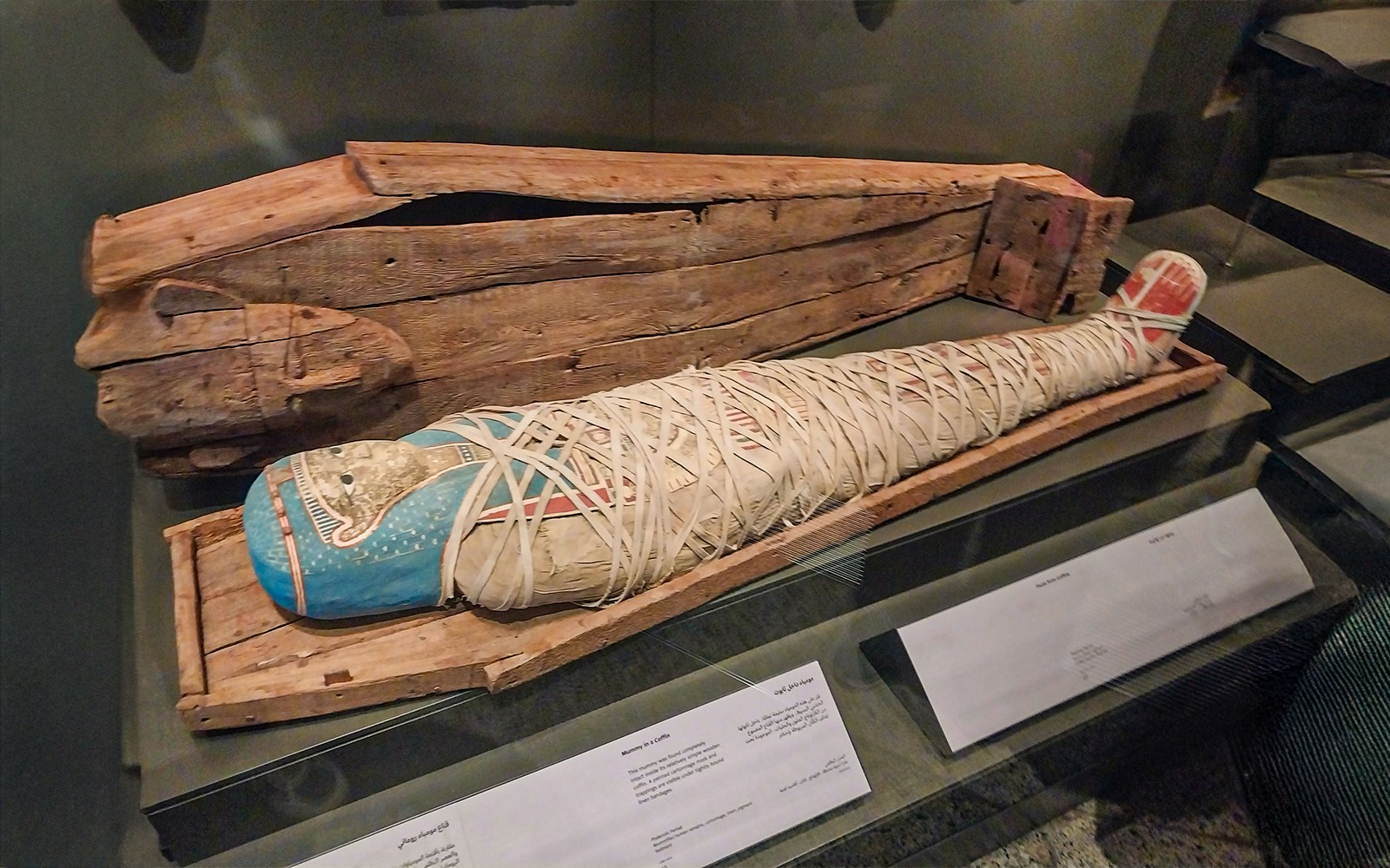 Mummy preserved in a glass on display