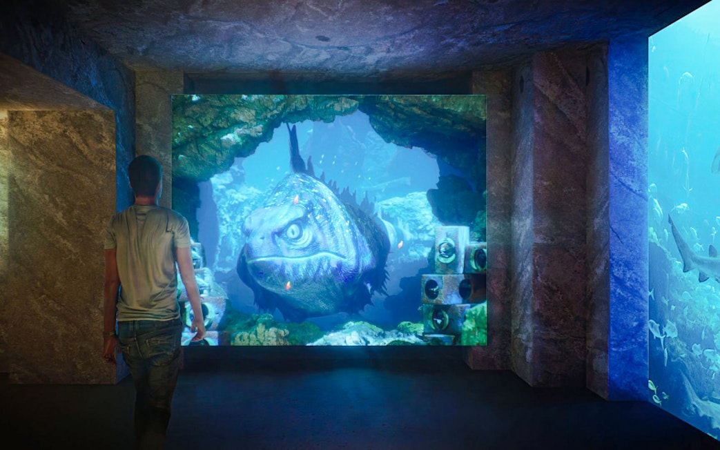 Person viewing large fish display at The Lost World Aquarium.