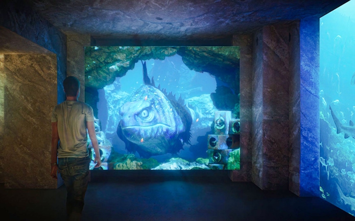 Person viewing large fish display at The Lost World Aquarium.