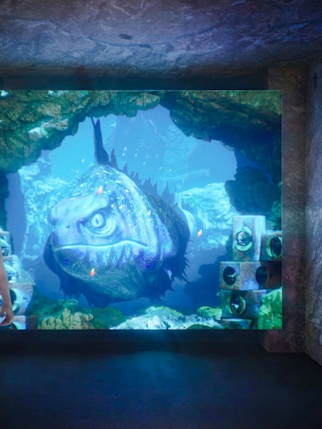 Person viewing large fish display at The Lost World Aquarium.