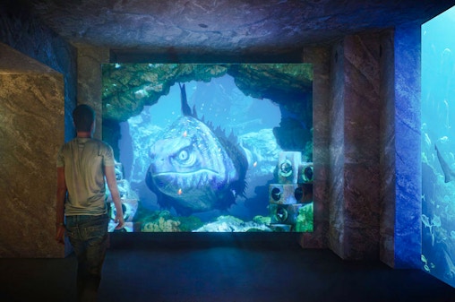 Atlantis Aquaventure Waterpark Tickets