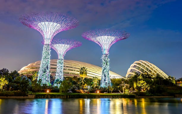 Supertree Grove illuminated at night, Gardens by the Bay, Singapore.