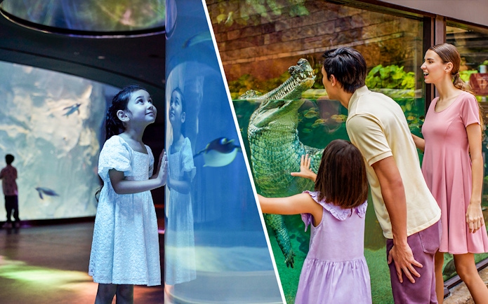 Children exploring Bird Paradise and River Wonders exhibits in Singapore.
