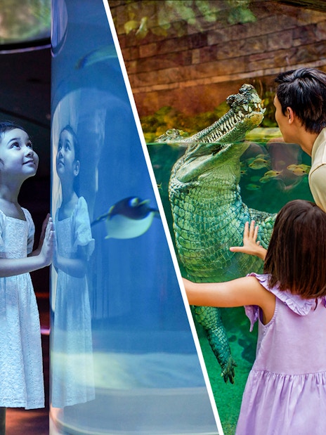 Children exploring Bird Paradise and River Wonders exhibits in Singapore.