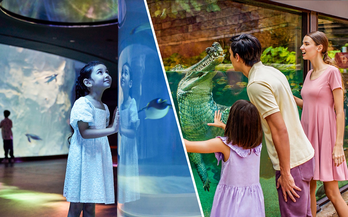 Children exploring Bird Paradise and River Wonders exhibits in Singapore.