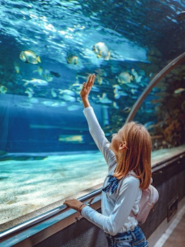 Girl reaching towards fish in Cala Gonone Aquarium exhibit.