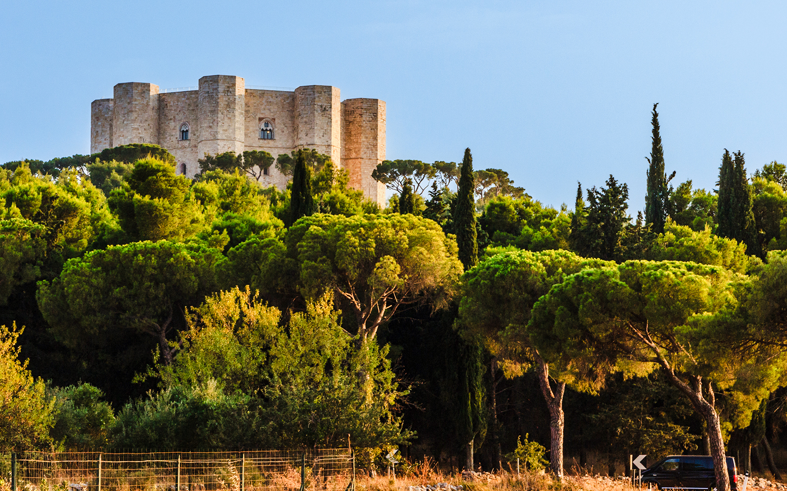 Olive groves at Castel del Monte in Apulia, South of Italy