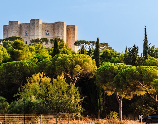 Olive groves at Castel del Monte in Apulia, South of Italy