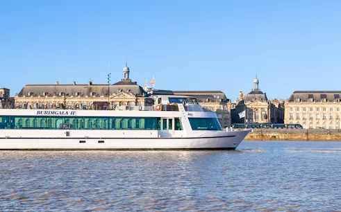 Bordeaux river cruise ship passing by historic buildings on a sunny day.