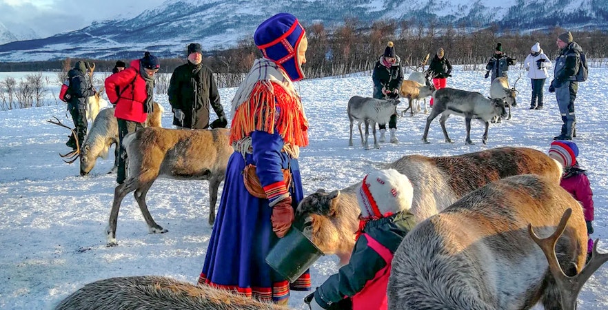 People feeding reindeer in snowy Tromso landscape with mountains in the background.
