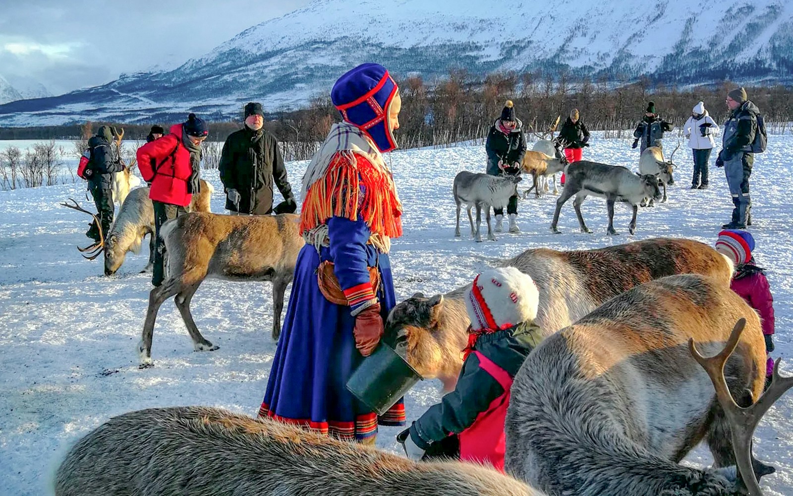People feeding reindeer in snowy Tromso landscape with mountains in the background.