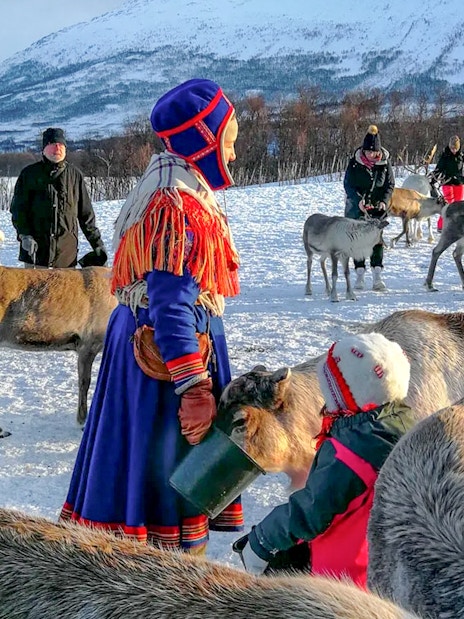 People feeding reindeer in snowy Tromso landscape with mountains in the background.