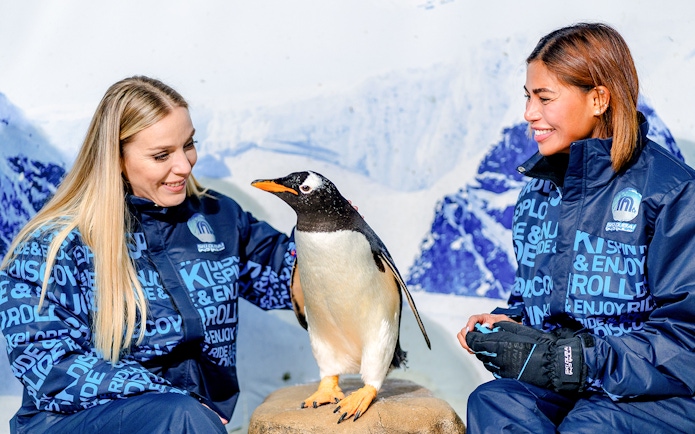 Visitors interacting with a penguin at Ski Dubai Penguin Encounter.