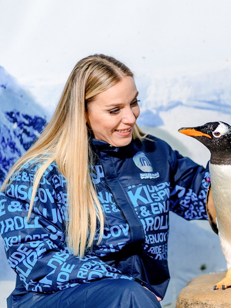 Visitors interacting with a penguin at Ski Dubai Penguin Encounter.