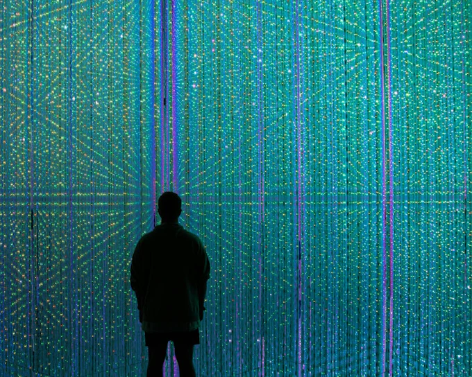 teamLab Borderless Tickets: Guided Tokyo Tours (Product 52717)