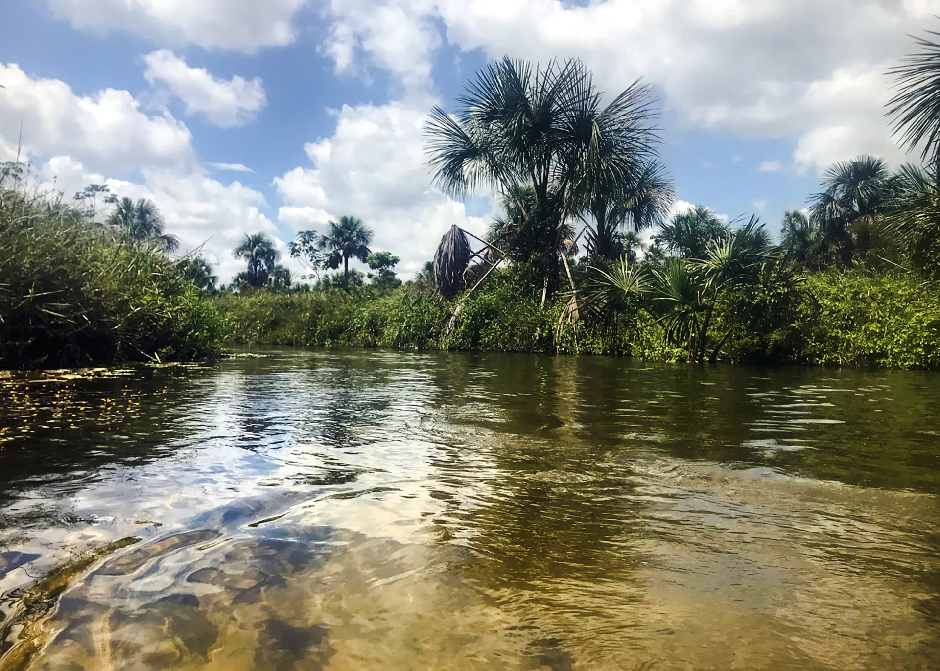 Tubing in Cardosa river surrounded by lush greenery, Barreirinhas, Sao Paulo.