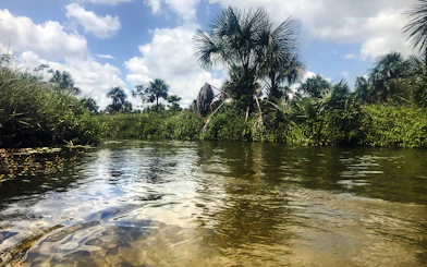 Tubing in Cardosa river surrounded by lush greenery, Barreirinhas, Sao Paulo.