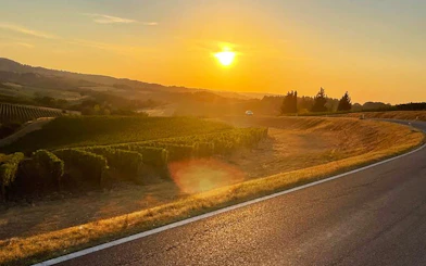 Sunset over Chianti vineyards during Vespa tour with Vernaccia wine tasting.