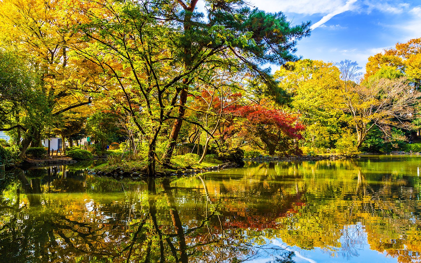 Arisugawa Park in Tokyo with vibrant autumn foliage reflecting on a tranquil pond.