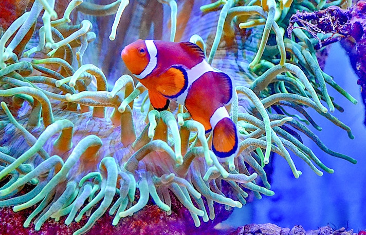 Aquaria KLCC