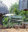 Auckland Zoo