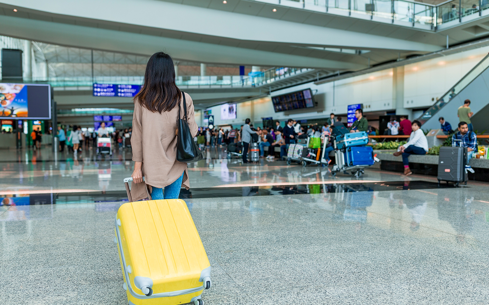 Auckland Airport Transfers