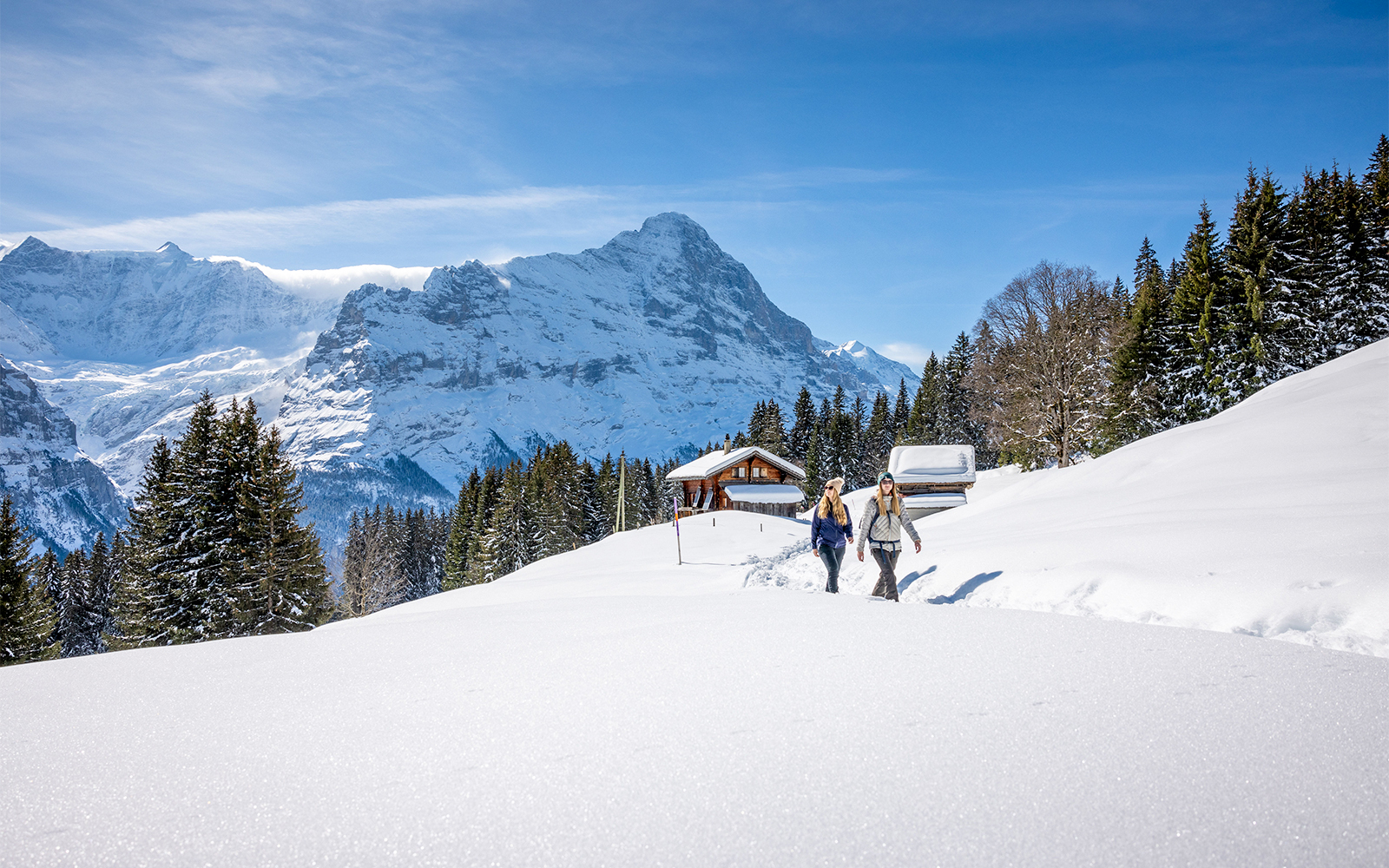 The Bachläger Run Grindelwald First