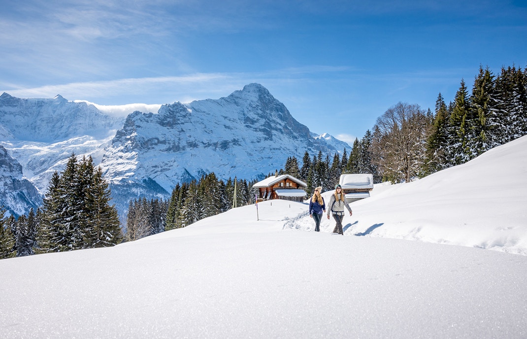 The Bachläger Run Grindelwald First