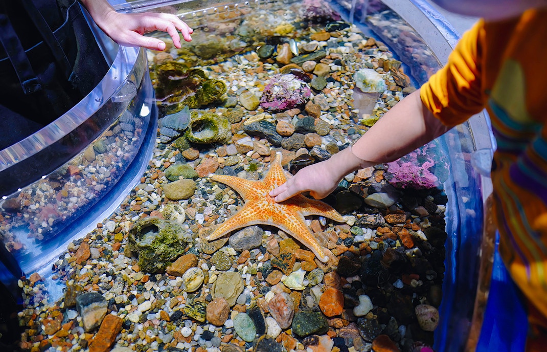 The Biodiversity Pavilion