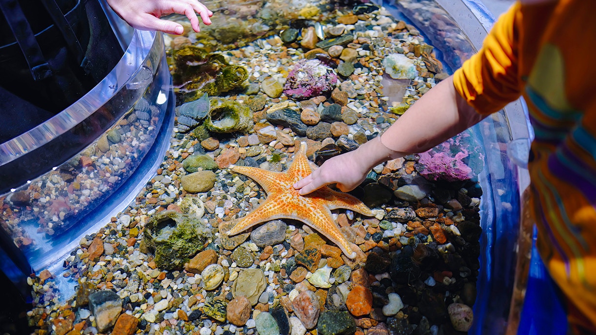 Payah Indah Discovery Wetlands