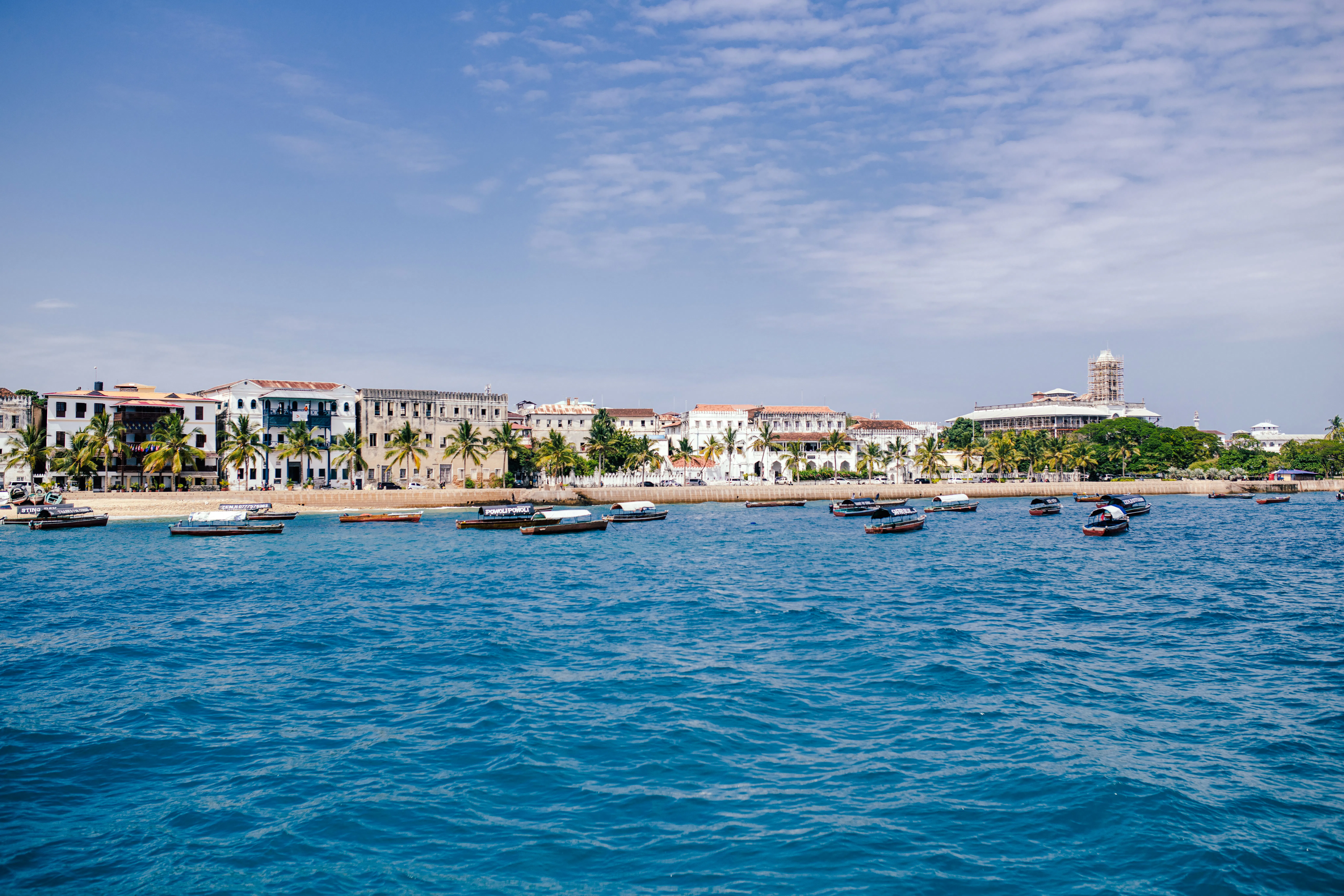 Zanzibar: Private Customizable Island Tour with Driver-Guide Image 8