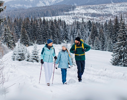 family winter walking in snowy mountain area