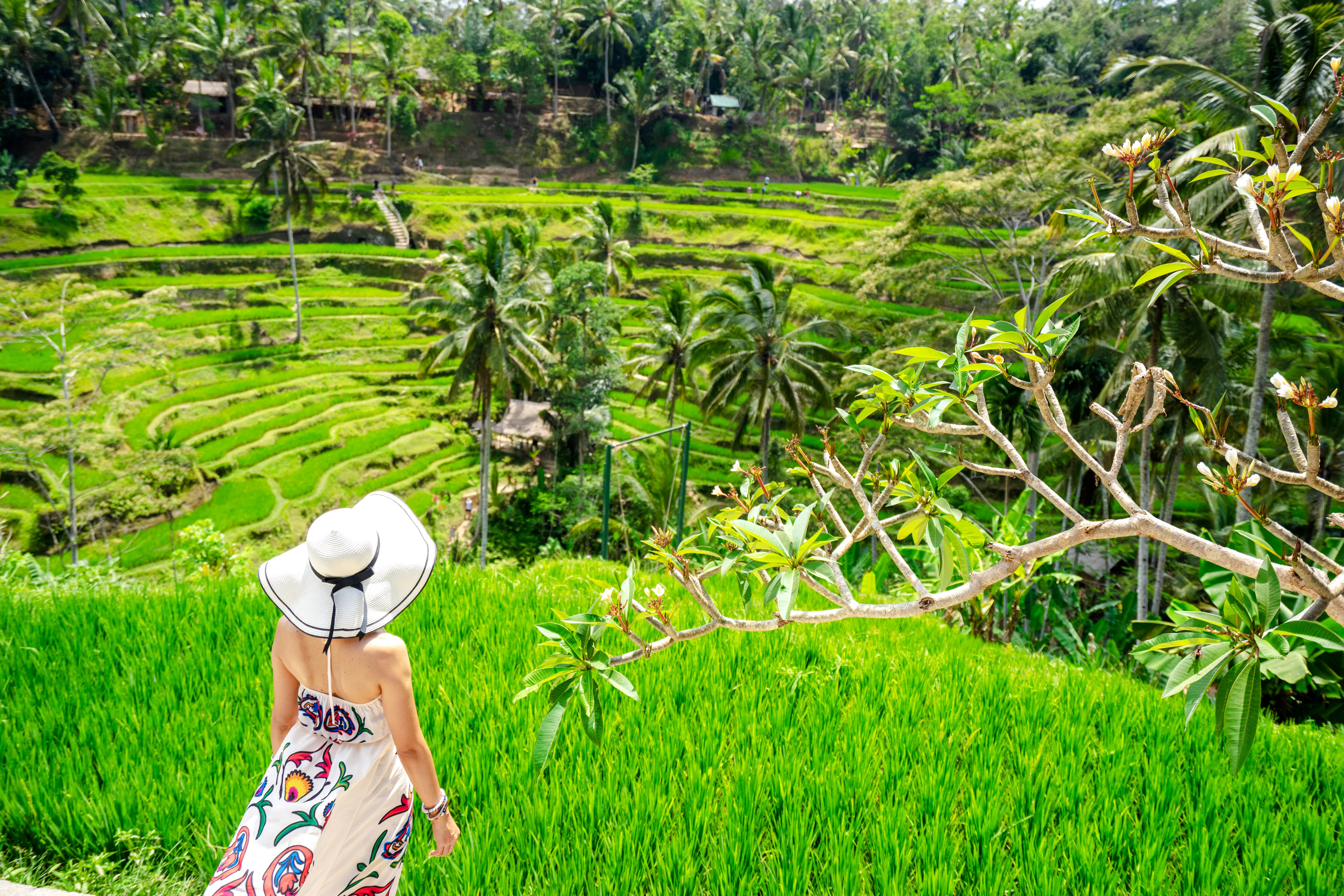 Ubud: Balinese Culture, Monkey Forest, Rice Terrace, Temple & Waterfall Tour