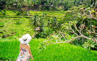 Woman overlooking Tegallalang Rice Terraces in Ubud, Bali.