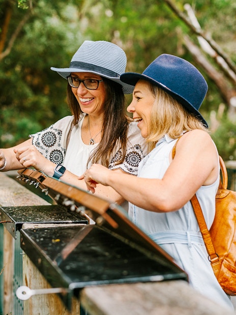 Visitors enjoying the boardwalk at Koala Conservation Reserve, Phillip Island.